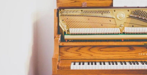 守護冬日琴音 鋼琴保養(yǎng)實用小妙招